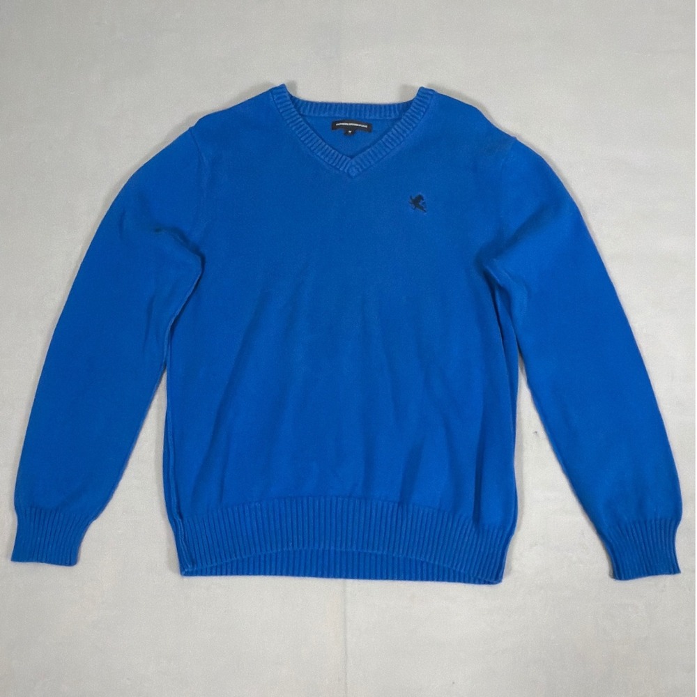 Express Design Studio Mens V-Neck Cotton Sweater Blue Lion Logo Size M